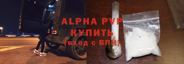 apvp Вяземский