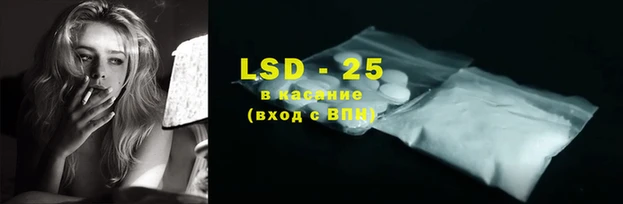 apvp Вяземский