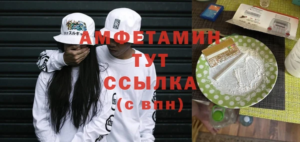apvp Вяземский