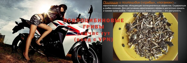 spice Киреевск