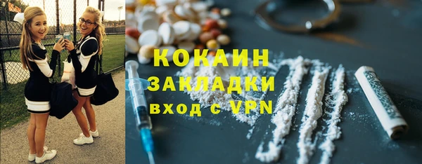 шишки Вязьма
