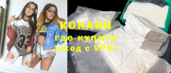 шишки Вязьма