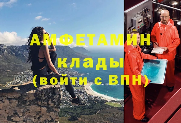 шишки Вязьма