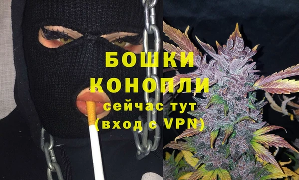 apvp Вяземский