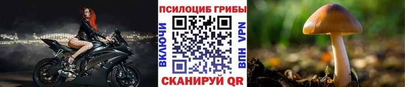 Галлюциногенные грибы прущие грибы  Калининец 